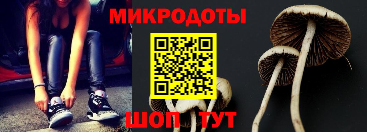 Псилоцибиновые грибы ЛСД Норильск